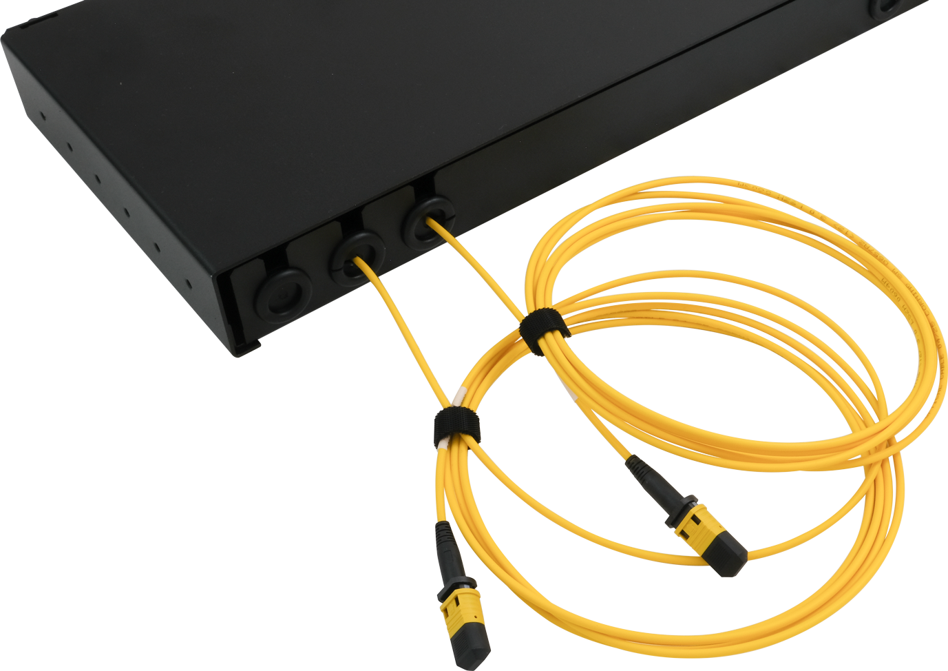 Tiroir iLIA-V1 Compact avec sortie de câbles préconnectorisés à l'arrière